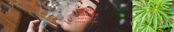 COCAINE Гусь-Хрустальный