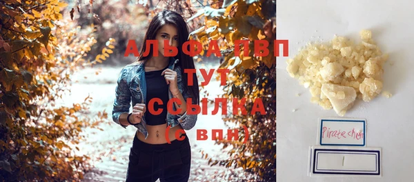 ПСИЛОЦИБИНОВЫЕ ГРИБЫ Гусев