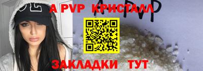 амф Гусев