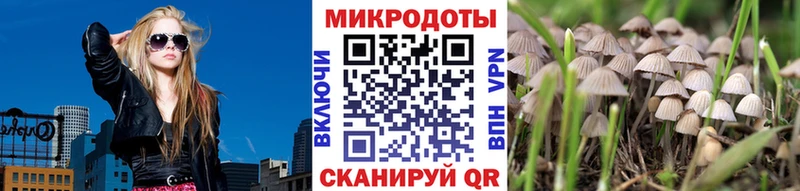 Псилоцибиновые грибы прущие грибы купить наркотики цена Дмитров