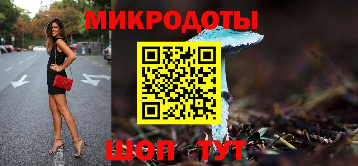 Дмитров  Галлюциногенные грибы Psilocybe  Вход с VPN 